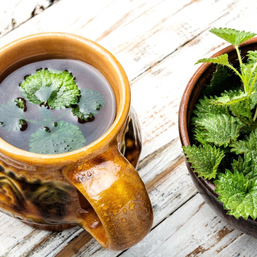 Der Einfluss von Tee auf Körper und Geist - Tea of Dreams