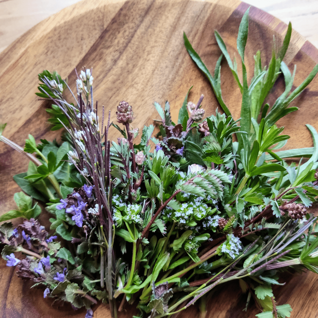 Die heilende Wirkung von Kräutertees - Tea of Dreams