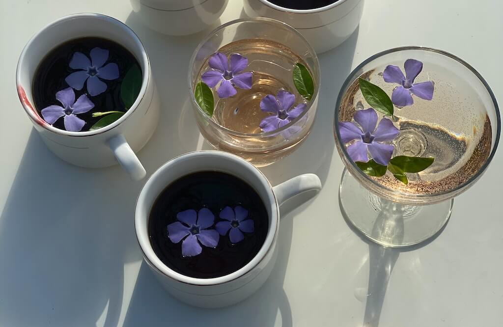 Cocktails mit Tee - Tea of Dreams