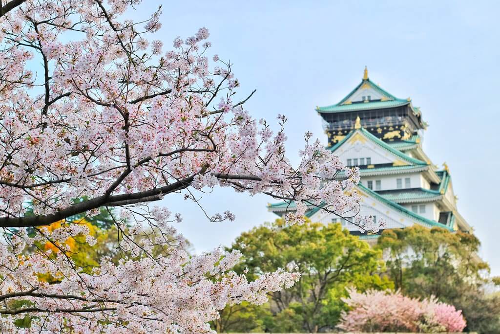 Japans Teewelt: Tradition, Anbau und die Kunst des Teegenusses - Tea of Dreams
