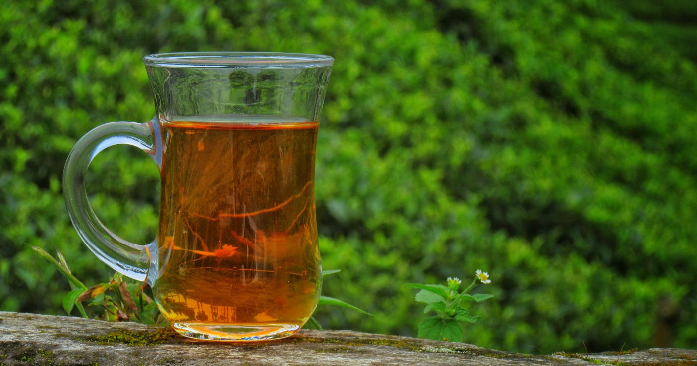 Darjeeling Tee