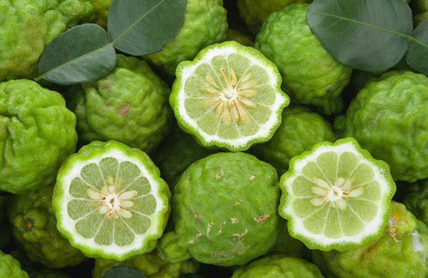 Earl Grey mit Bergamotte Schwarztee