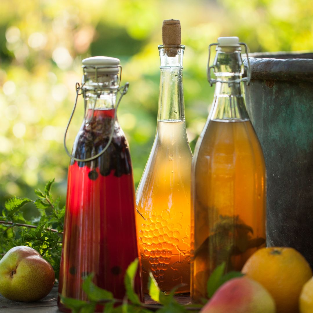 Kombucha selber machen