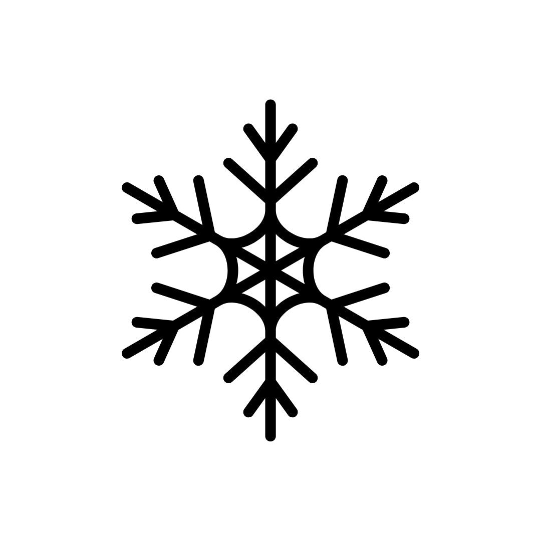 Schneeflocke