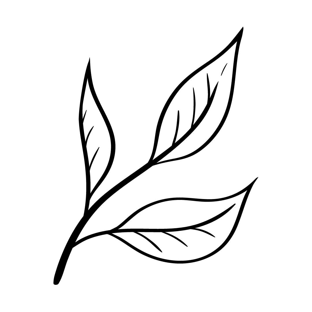 teeblatt