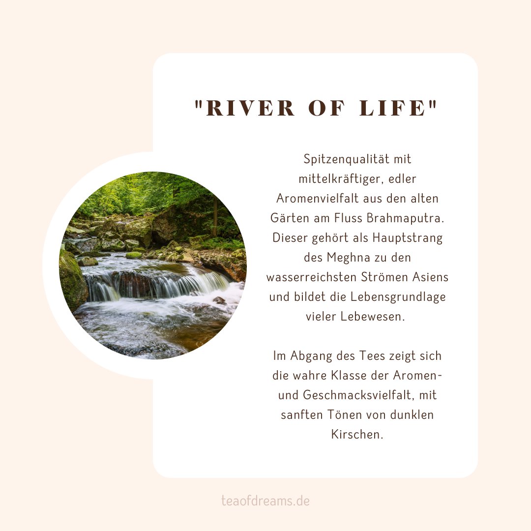 Bio Assam Finest Tippy Golden Flowery Orange Pekoe 1 (FTGFOP1) Chardwar "River of Life" - Bio Assam Finest Tippy Golden Flowery Orange Pekoe 1 (FTGFOP1) Chardwar "River of Life" - Bio Assam Finest Tippy Golden Flowery Orange Pekoe 1 (FTGFOP1) Chardwar "River of Life"