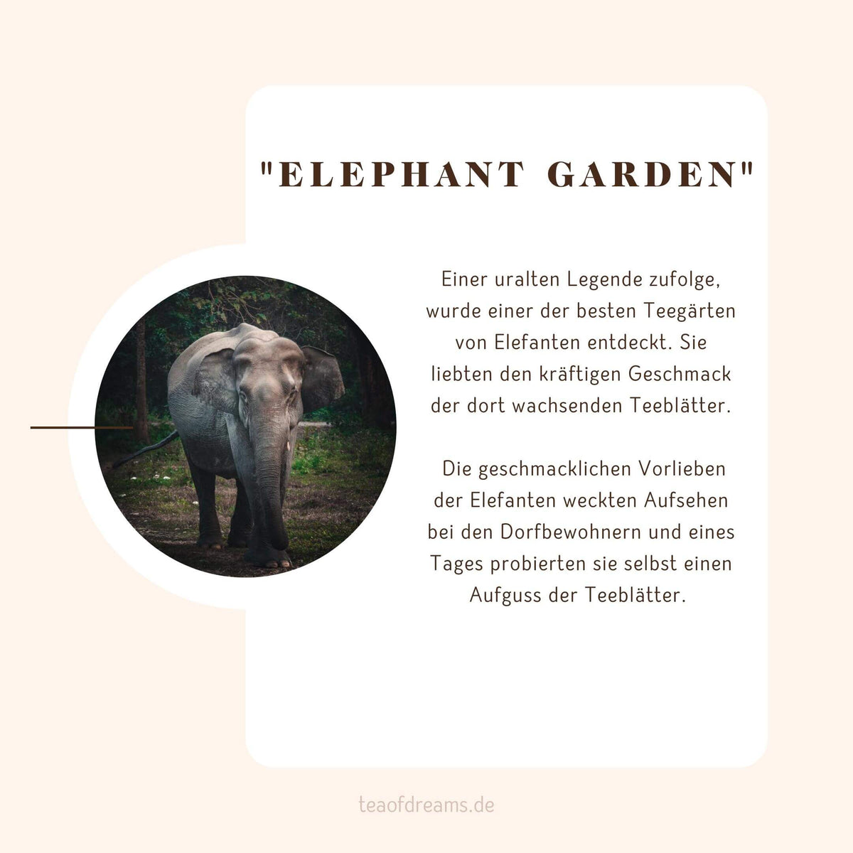 Bio Assam Golden Flowery Broken Orange Pekoe (GFBOP) Hathikuli "Elephant Garden" - Bio Assam Golden Flowery Broken Orange Pekoe (GFBOP) Hathikuli "Elephant Garden"