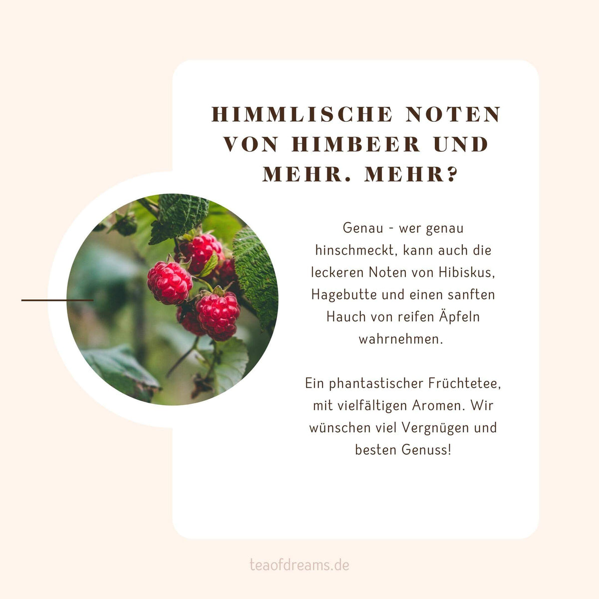 Bio Frauentee "Himbeer & mehr" - Bio Frauentee "Himbeer & mehr" - Bio Früchtetee "Himbeer & mehr"