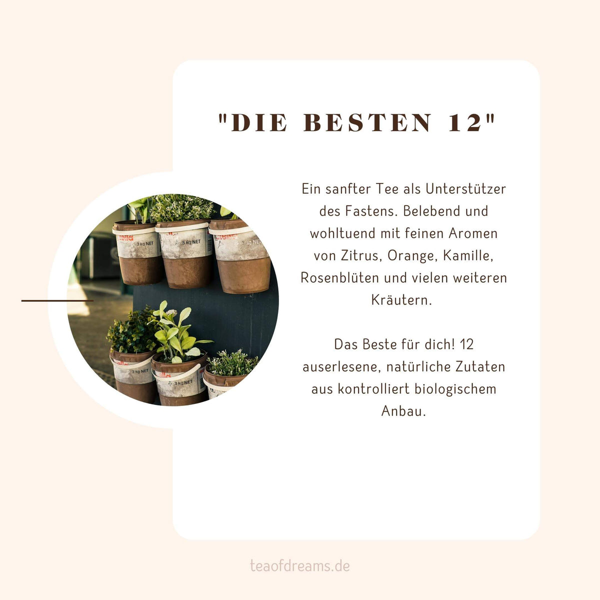Bio Fastentee "die Besten 12" - naturbelassene Kräuterteemischung mit 12 Zutaten und Mate - Bio Fastentee "die Besten 12" - naturbelassene Kräuterteemischung mit 12 Zutaten und Mate