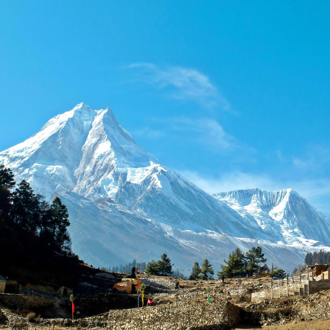 Nepals Teegärten: Anbau und die besondere Note des Himalaya-Tees