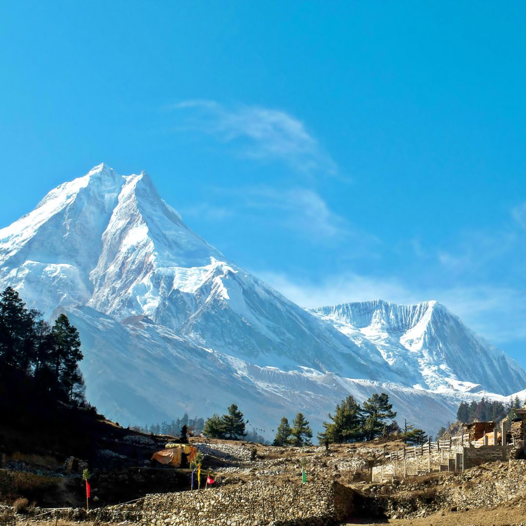 Teeanbau in Nepal: Die Teegärten des Himalayas - Tea of Dreams