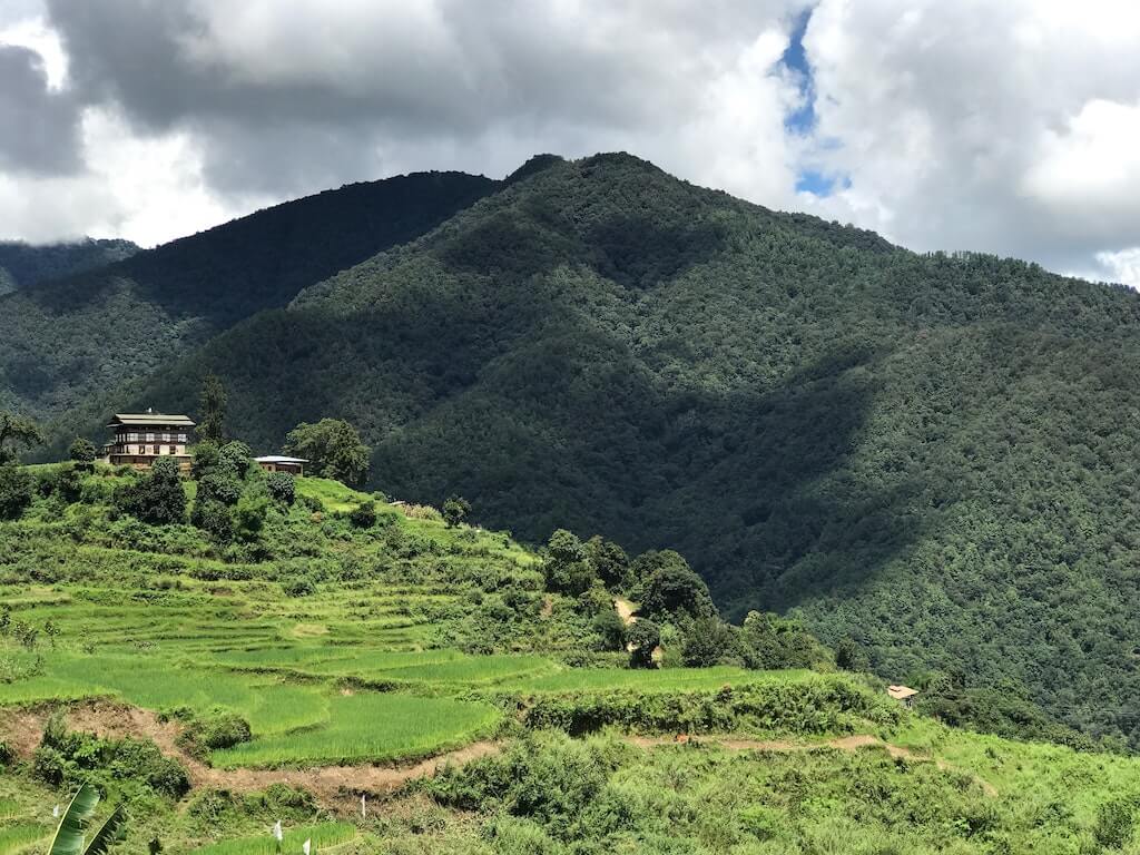 Nepal - Tea of Dreams