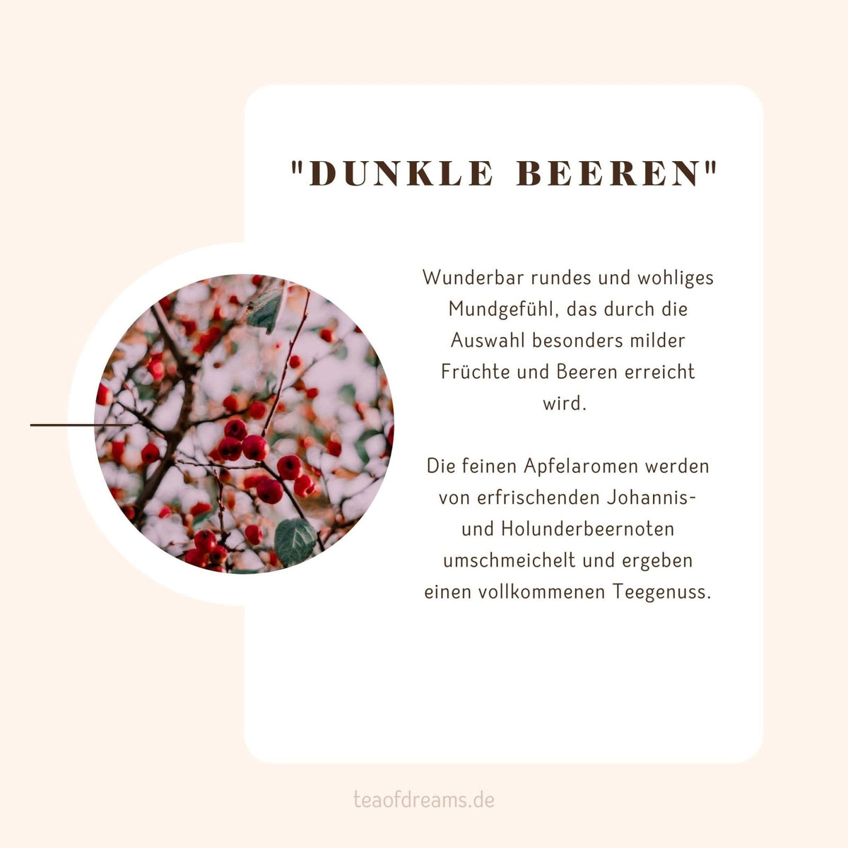 Bio Früchtetee "Dunkle Beeren" - Bio Früchtetee "Dunkle Beeren"