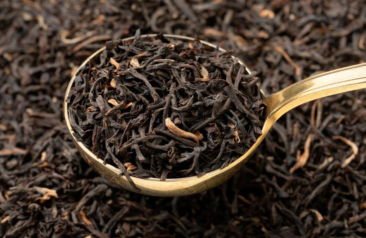 Assam Schwarztee
