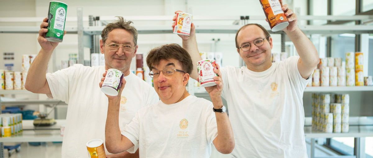 Bio Tee online kaufen bio und fair - Tea of Dreams