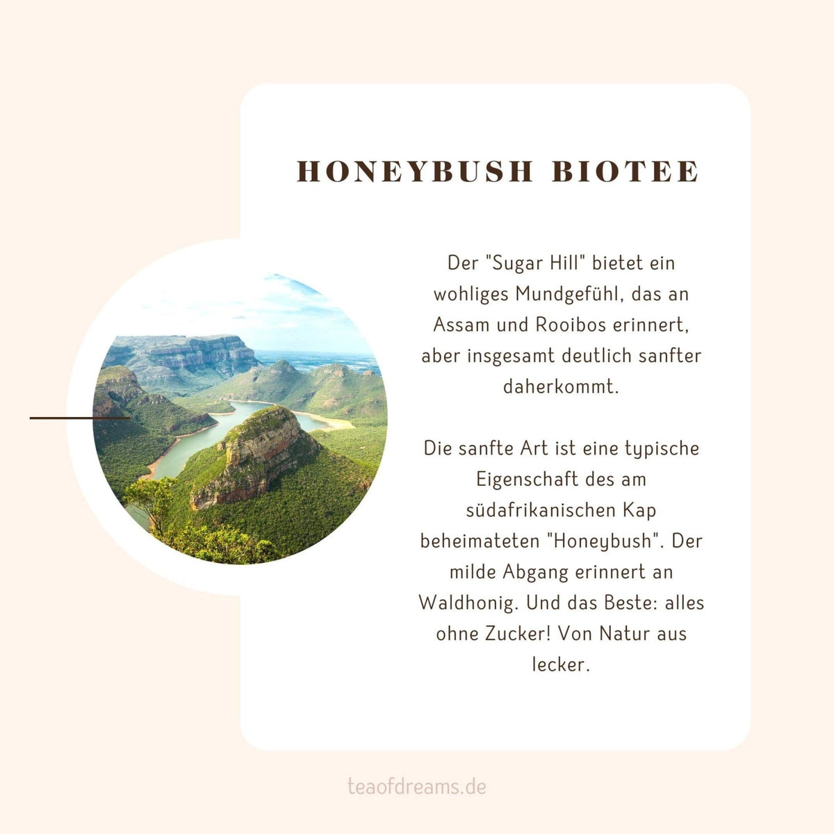Bio Honeybush Tee "Sugar Hill" - Bio Honeybush Tee "Sugar Hill"