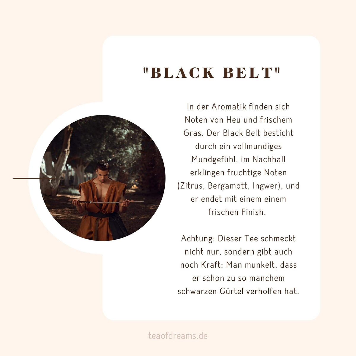 Black Belt China Gunpowder Grüntee Tea of Dreams